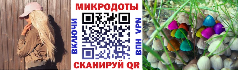 Купить закладки  Чердынь  Галлюциногенные грибы Cubensis 